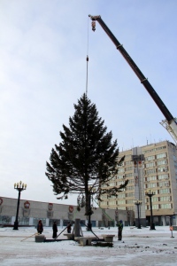 Рождественская елка украсила площадь у главного собора края