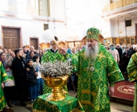 В праздник Входа Господня в Иерусалим митрополит Артемий возглавил праздничное богослужение в Спасо-Преображенском соборе